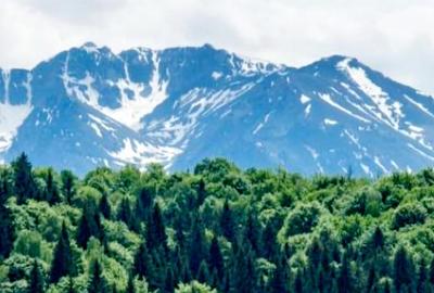 Teren superb Poian Brasov cu front la trei drumuri - 5