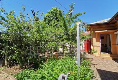 Casa Strada Muntii Carpati, 3 camere, curte proprie - 19