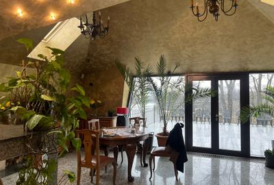 Reședință exclusivistă pe malul lacului - Exclusive Residence on the Lakefront - 50