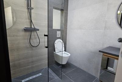 Apartament cochet - zona Domenii - direct proprietar - 5