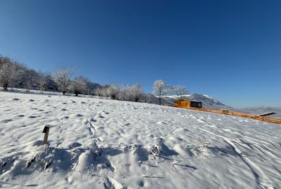 Teren intravilan loturi intre 500 si 1000 m la 14 km de Rasnov - 10