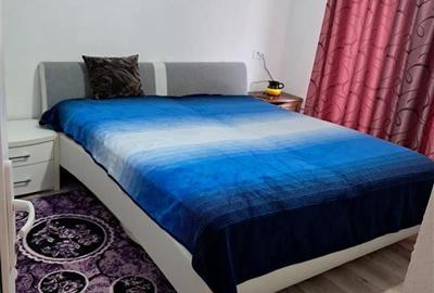 Casa Individuala Noua la 30 km de Timisoara - 18