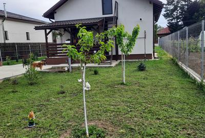 Proprietar!Casa noua cocheta, la cheie, langa Bucuresti, Buturugeni, jud Giurgiu - 30