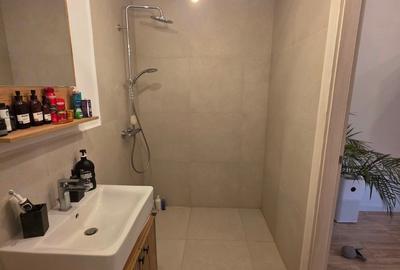 Complex Liziera de Lac, Comuna Frumusani, vila  partial mobilata si utilata - 13