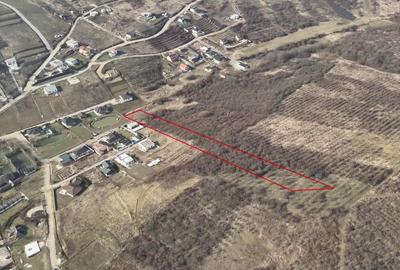Teren Saldabagiu de Munte langa Hanul Pescarilor - 3