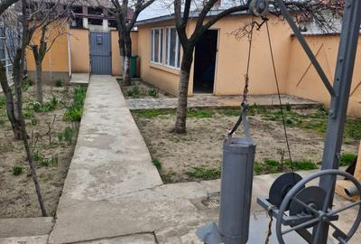 Casa ideala pentru familie extinsa - 3 locuinte in aceeasi curte, Chitila - 1