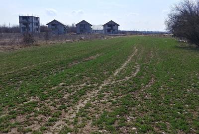 Teren intravilan Măgurele langa padurea Cornetu si Arges - 10