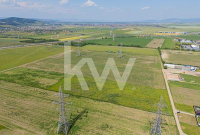 Teren Intravilan I 25 Euro/ mp I Brasov - Triaj - 20