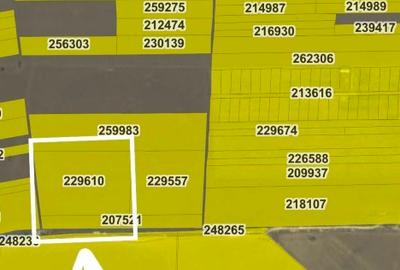 Teren extravilan 25600 mp strada crisului, constanta - 1