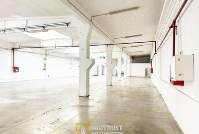 Hala industriala 675 mp, Arad central, acces TIR ideal depozit logitic - 9