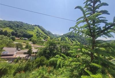 FILM!View superb catre munti,teren pretabil constructie Hotel,4.400 mp, Moieciu - 11