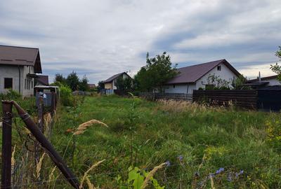 Teren 600mp Serbanesti - 3