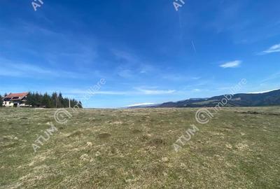 Teren intravilan de 3000 mp cu utiltati si PUZ in Paltinis Judet Sibiu - 10