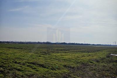 Teren de Vanzare  Caciulati Ilfov - 1