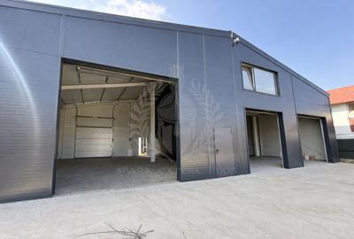 Hala depozitare/ productie 250 mp de inchiriat, Tatarani, acces TIR - 6