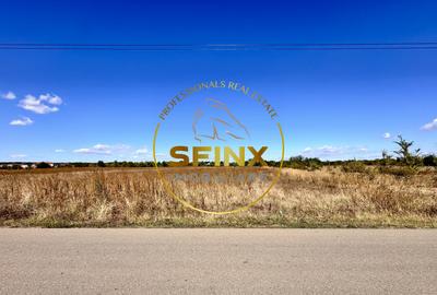 Corbeanca 5000 mp | deschidere 22 m la drum asfaltat | padure | utilitati - 12