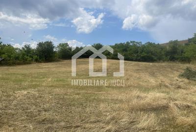 Teren Intravilan Constructrii 2258mp - Gadalin - 5