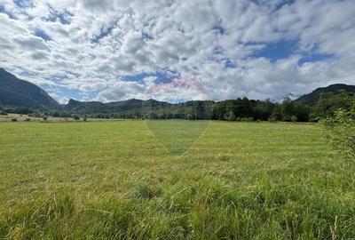 Teren de vanzare  Intravilan 19.341 mp – Cheile Râșnoavei, Parcelabil - 6