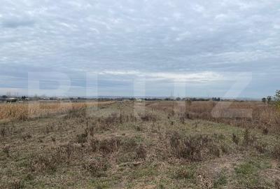 Teren extravilan de 2539 mp in Dudovicesti - 1