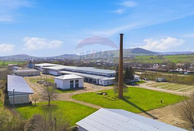Spațiu industrial 4.4Ha Teren și 15.000mpc - Zona Industrială - Hârlău - 2