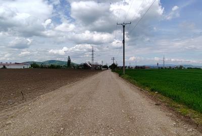 Teren  pentru activitati industriale langa DN 11 - 3
