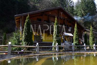 Casă cu 9 camere în Valea Ierii