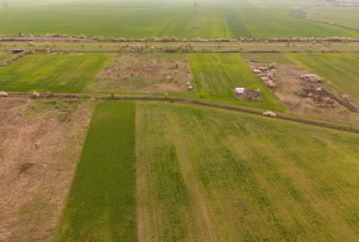 Teren intravilan 6150 mp – Sânleani, jud. Arad - 3