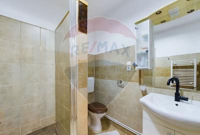 Vila cu 5 camere de vanzare Darza- Crevedia - 24