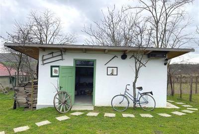 Casa de vanzare in Nufaru - 33