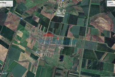 Vindem locuri de casa 540 sau 640mp in Zimand Cuz 7 km de Arad - 13