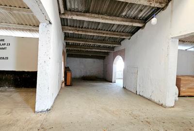 Complex imobiliar format din cladiri si constructii industriale+teren intravilan - 23