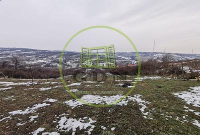 Teren intravilan si extravilan cu anexa gospodareasca amenajata, cu utilitati - 1