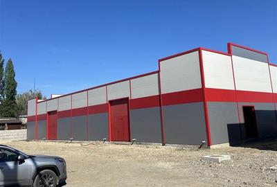 Inchiriere depozit/hala/spatiu industrial Jilava - Giurgiului - 8