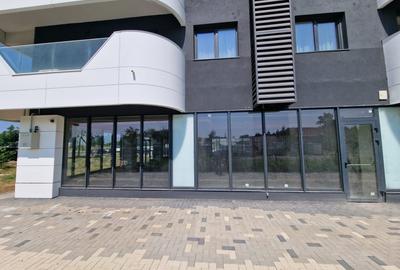 ULTIMUL Spatiu Comercial Himson 179 mp - INTABULAT - 5