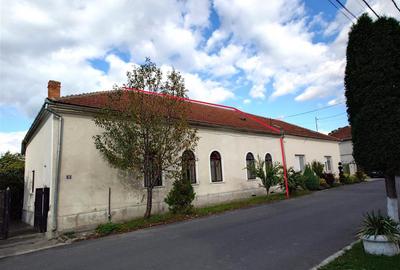 Casa cu aer nobil in Baia de Cris - 15