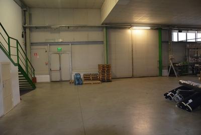 Hala Calea Lugojului 1400 mp 6000 euro - 3