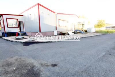 Spatiu de inchiriat Craiesti - 2