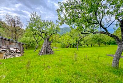 Teren 1500mp, intravilan cu utilitati, in proximitatea complexului Vila Bran - 6