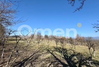Teren intravilan | Berința | 5800 mp - 5