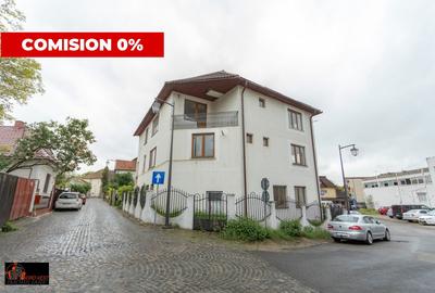 Vila centru vechi cu 3 CF-uri: 3 ateliere auto, cabinet medical, apartament