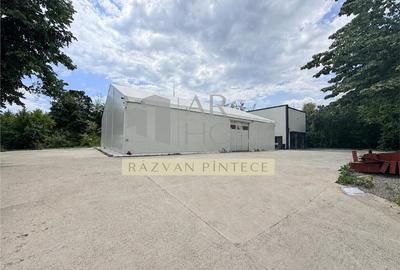 Spațiu industrial, de 450 mp, în Exterior Vest