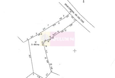 Teren intravilan 800 mp de vanzare in Lunca Mare - 7