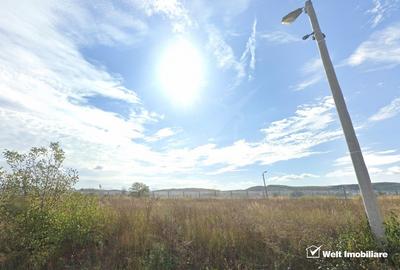 Inchiriere teren 8078mp Centura Muncii - OMV cu utilitati - 1