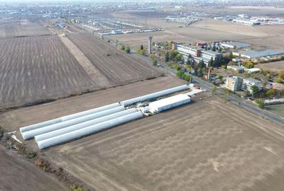 Spațiu industrial, 7000 mp în Micălaca