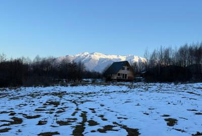 Teren intravilan 500 mp sau 1000 mp în Bran –Tohanita cu parau langa - 1