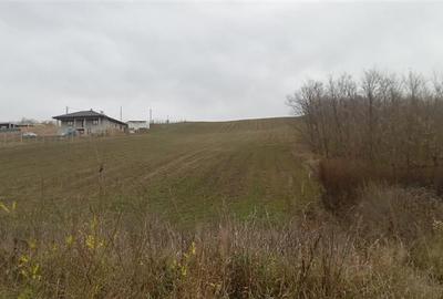 Teren constructii case Rediu - 1