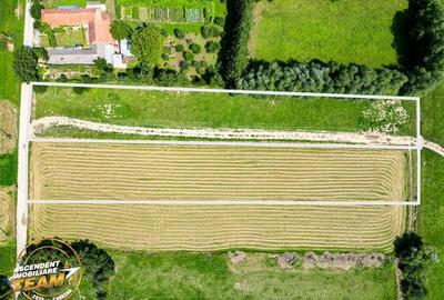 Teren intravilan,2.900mp,recomandat: investitional/ rezidential/constructii,Lunc - 3