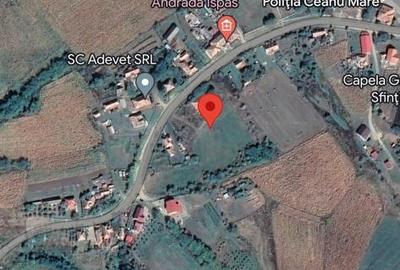 De vânzare teren și construcții în Ceanu Mare - 8.090 mp - 60.000 EUR - 4