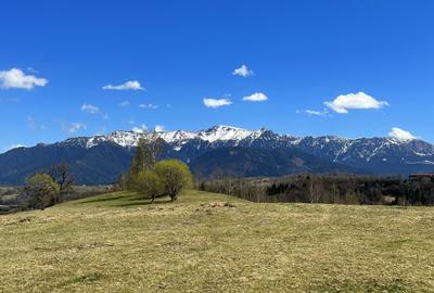 Teren 1550 mp, sat Pestera, zona Bran-Moieciu, jud. Brasov - 4