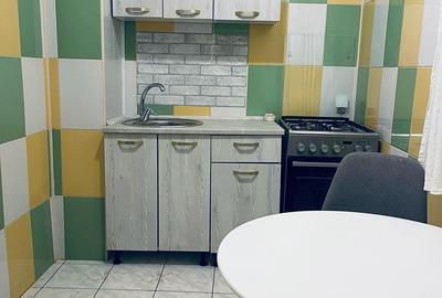 Baba Novac, 15 minute metrou Piata Muncii si parc IOR, pe Gheorghe Petrascu - 8